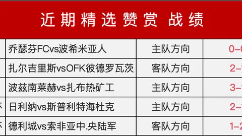 2026世界杯投，网上投注，注网 091118 210